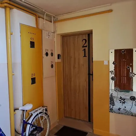 Green Apartament Daire *
